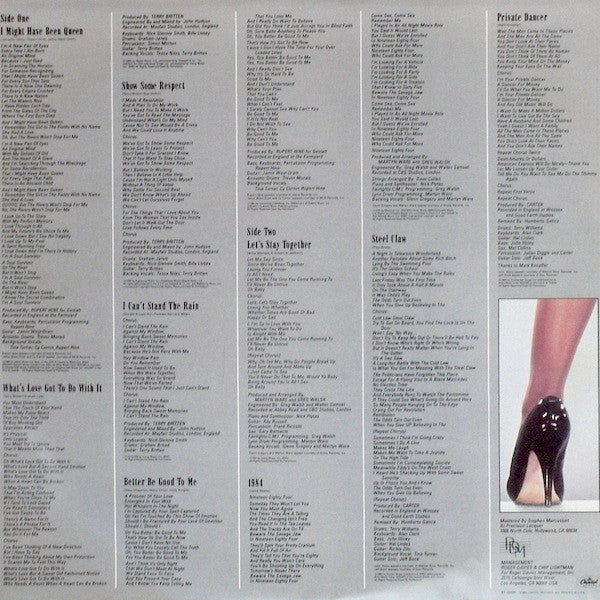 Tina Turner – Private Dancer