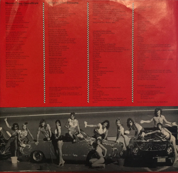 Bon Jovi – Slippery When Wet