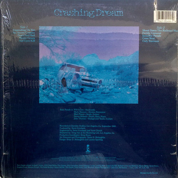 Rain Parade – Crashing Dream