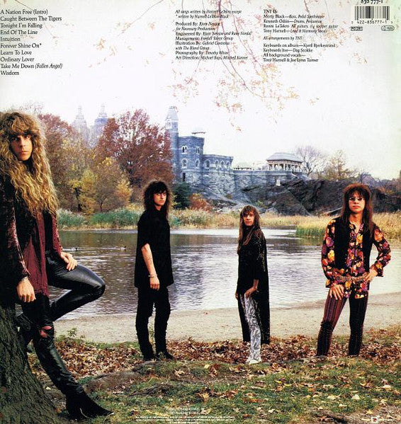 TNT – Intuition