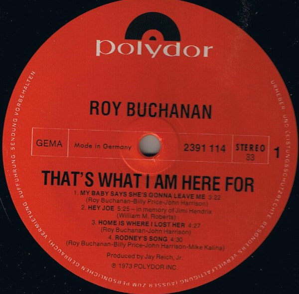 Roy Buchanan – That's What I Am Here For