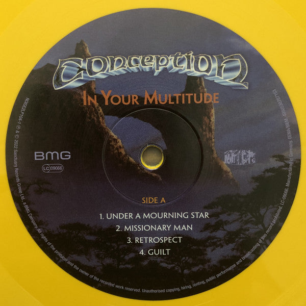 Conception – In Your Multitude , 2LP , Gatefold , color