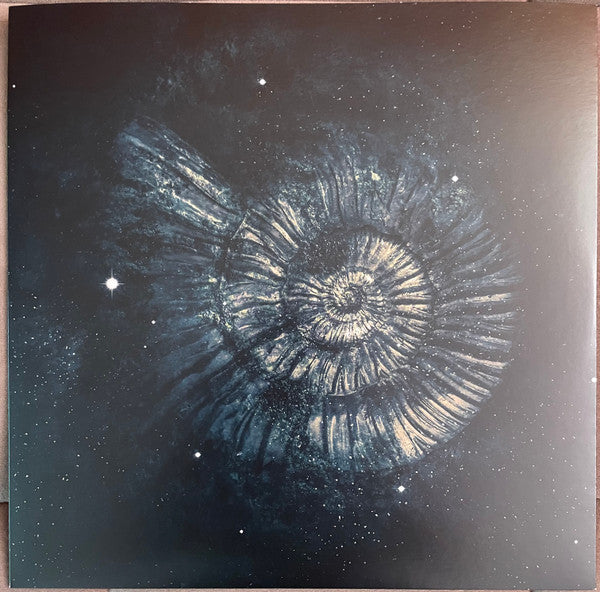 Nightwish – Endless Forms Most Beautiful , 2LP , Gatefold , Clear w/Gold & Black Splatter