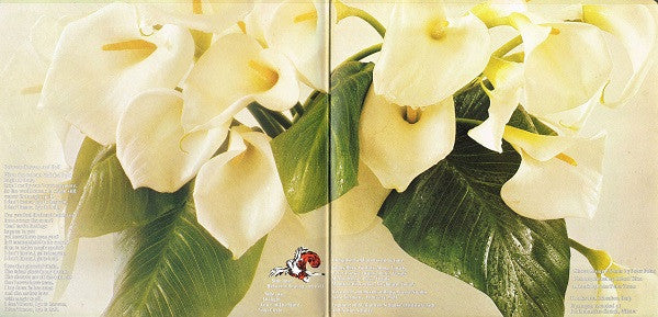 Jane – Between Heaven And Hell, Gatefold