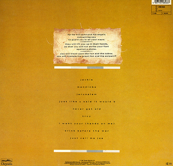 Sinéad O'Connor – The Lion And The Cobra