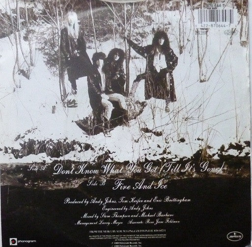 Cinderella – Don't Know What You Got (Till It's Gone) Maxi