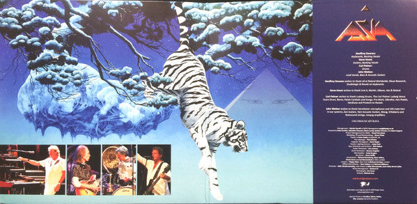 Asia – Resonance: The Omega Tour 2010 Volume 2 , 2LP , gatefold . colored vinyl