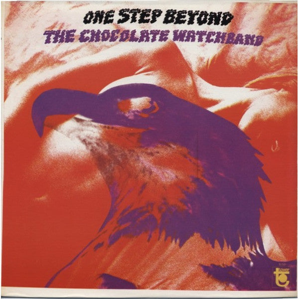 The Chocolate Watchband – One Step Beyond