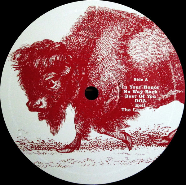 Foo Fighters – In Your Honor , 2LP , 180 gram