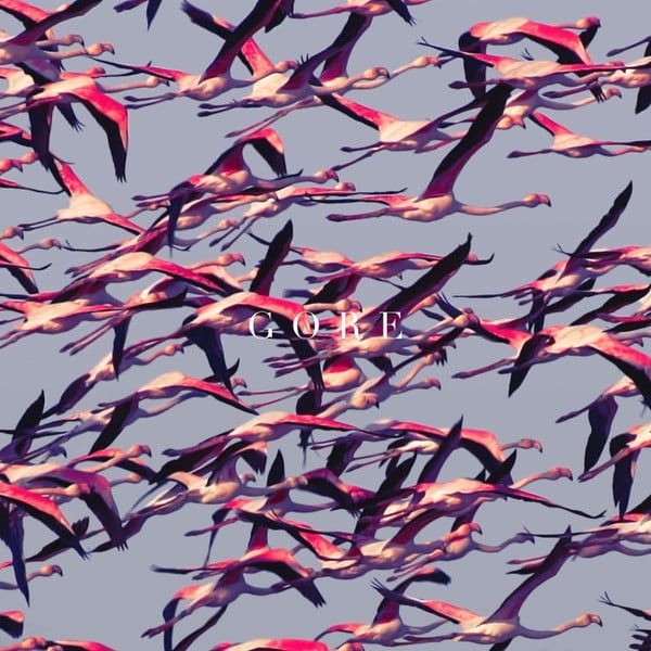 Deftones – Gore 2LP gatefold
