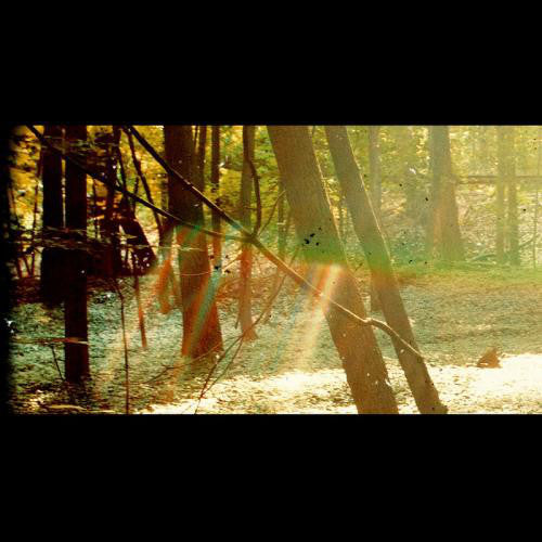 Childish Gambino – Camp   , 2 LP , Limited Edition,  180 g, Double Gatefold