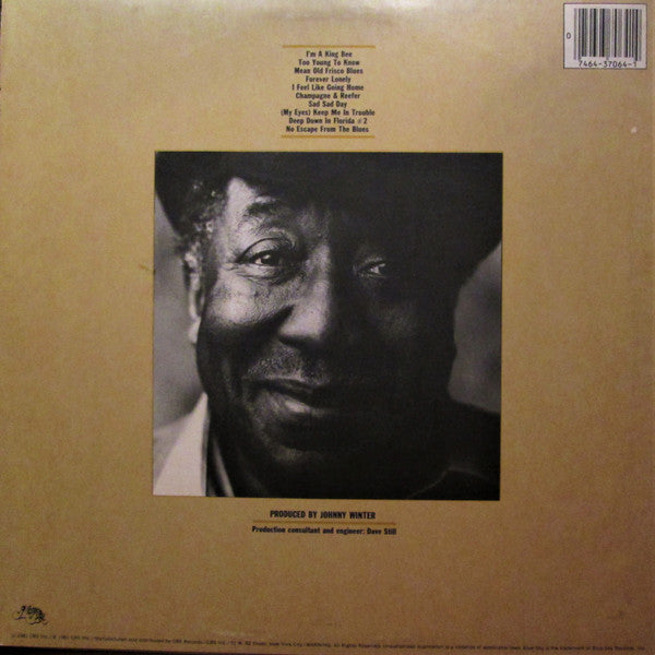 Muddy Waters – King Bee
