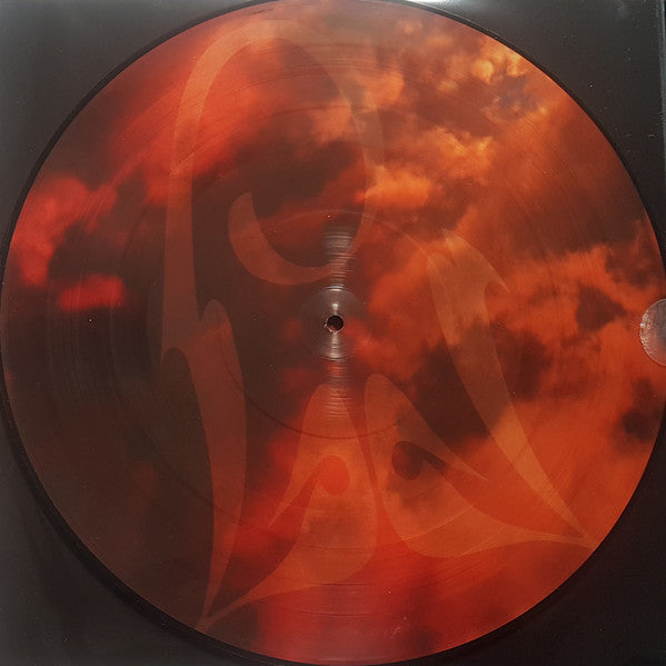 Michael Jackson – History Continues  , 2LP , Picture disc