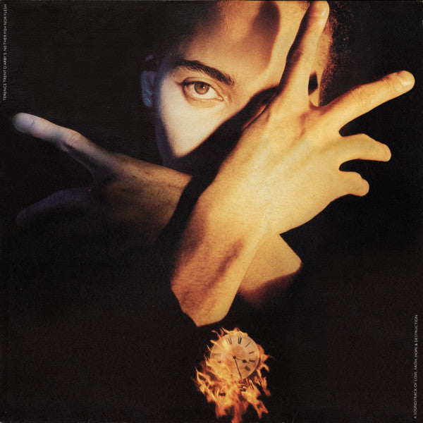 Terence Trent D'Arby – Terence Trent D'Arby's Neither Fish Nor Flesh