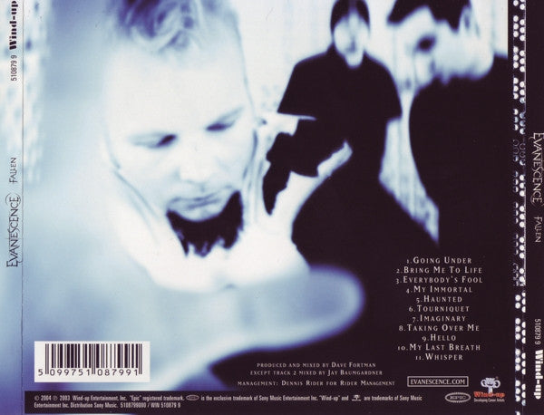 Evanescence – Fallen
