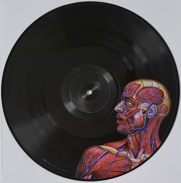 Tool  – Lateralus   , 2LP , Gatefold ,  Limited Edition, Picture Disc