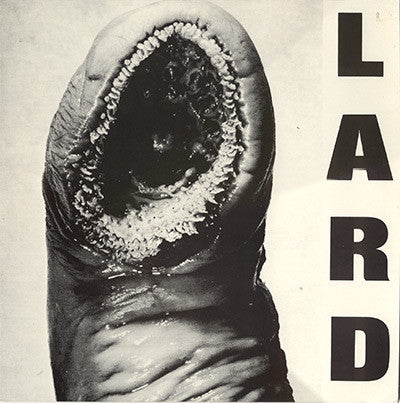 Lard – The Power Of Lard, Vinyl, 12", 33 ⅓ RPM, EP