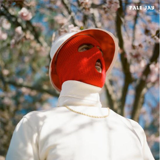 Pale Jay – The Celestial Suite