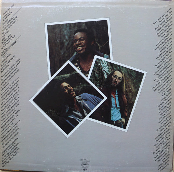 David Sancious – Forest Of Feelings