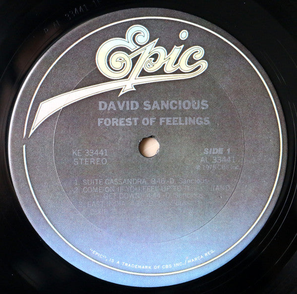 David Sancious – Forest Of Feelings