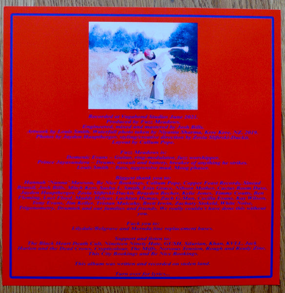Fuzz Meadows – Orange Sunshine  ,  Limited Edition, Transparent Red With Blue Splatter [Endless Void]