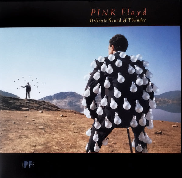 Pink Floyd – Delicate Sound Of Thunder  , 2 LP , Gatefold , 180 gram
