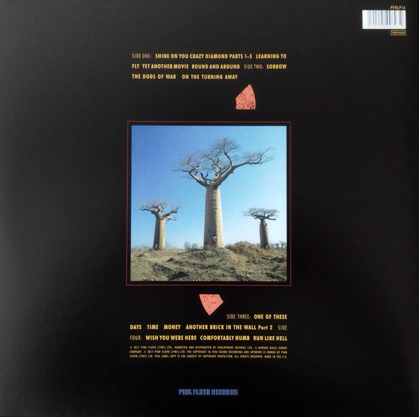 Pink Floyd – Delicate Sound Of Thunder  , 2 LP , Gatefold , 180 gram