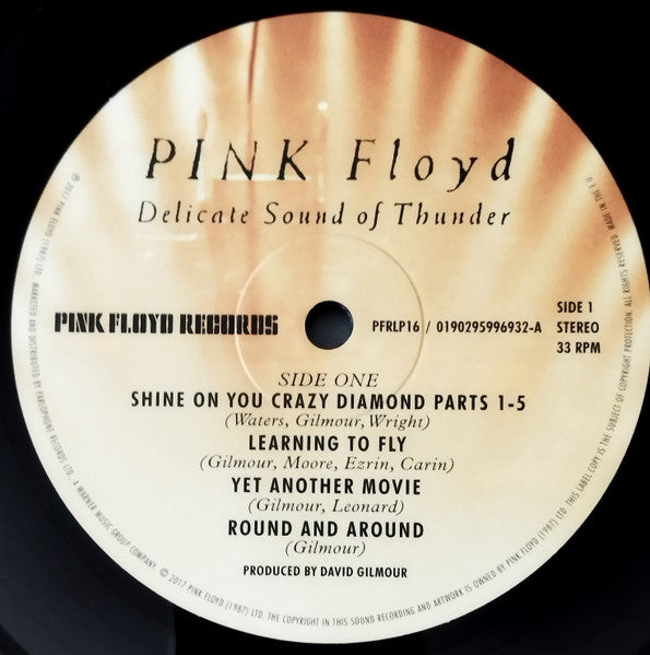 Pink Floyd – Delicate Sound Of Thunder  , 2 LP , Gatefold , 180 gram