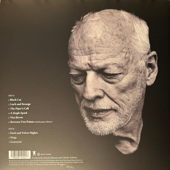 David Gilmour – Luck And Strange  ,    Gatefold , Blue [Translucent Sea Blue]