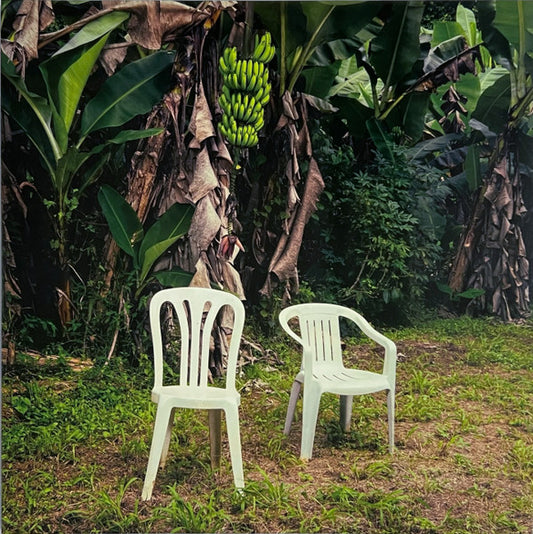 Bad Bunny – Debí Tirar Más Fotos  , 2LP , Gatefold ,