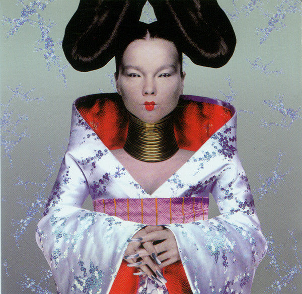 Björk – Homogenic