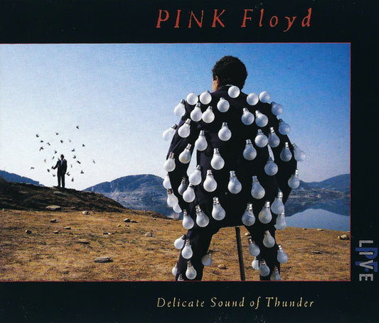 Pink Floyd – Delicate Sound Of Thunder, 2x CD