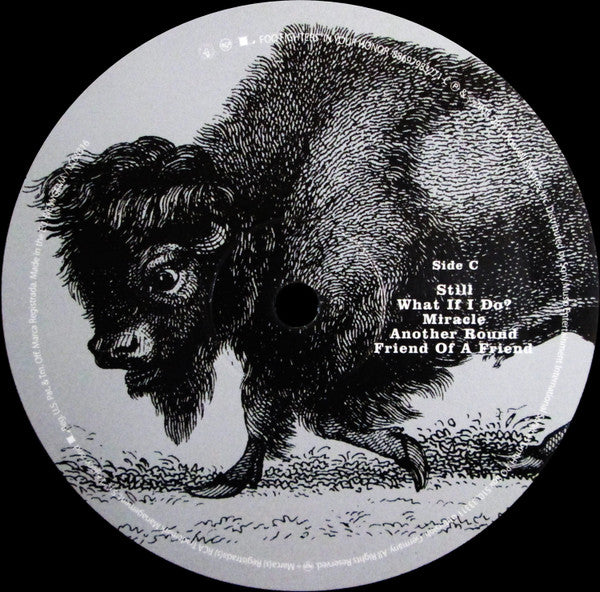 Foo Fighters ‎– In Your Honor   ,  2LP , 180 gram