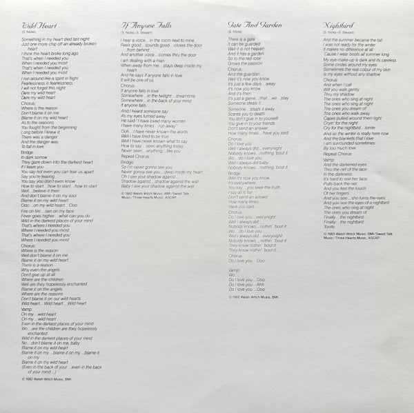 Stevie Nicks – The Wild Heart