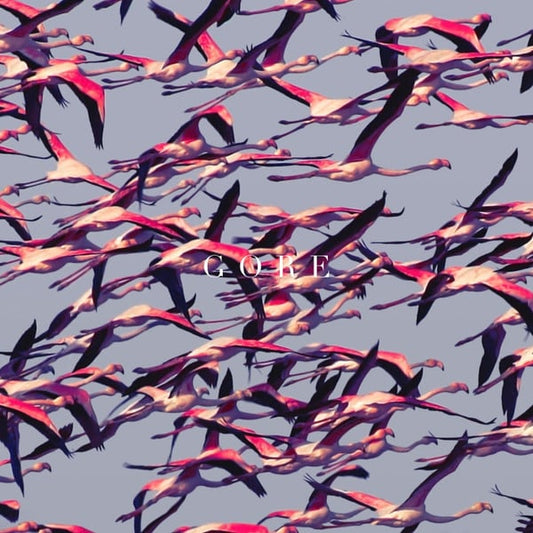 Deftones – Gore     2LP gatefold