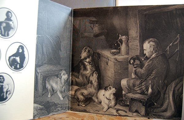 Pavlov's Dog – Pampered Menial, Gatefold