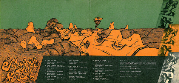 Phoenix  ‎– Mugur De Fluier   , prima editie , Gatefold