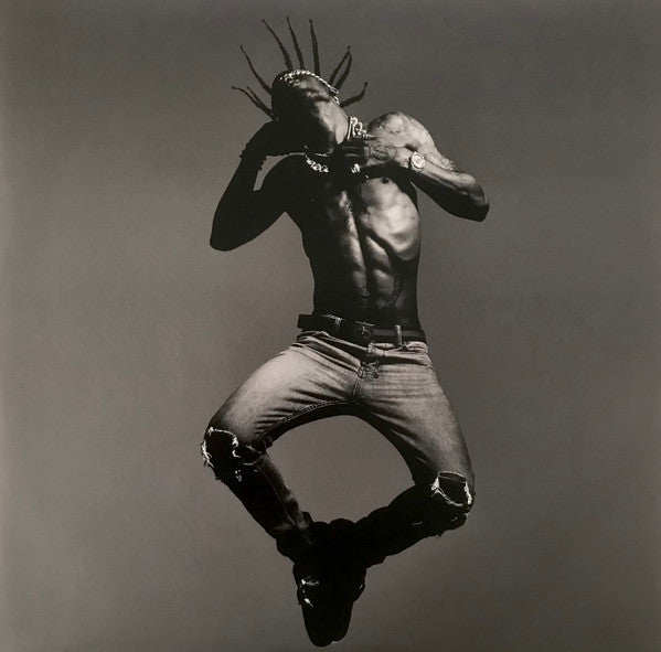 Travis Scott  – Birds In The Trap Sing Mcknight  , 2 LP