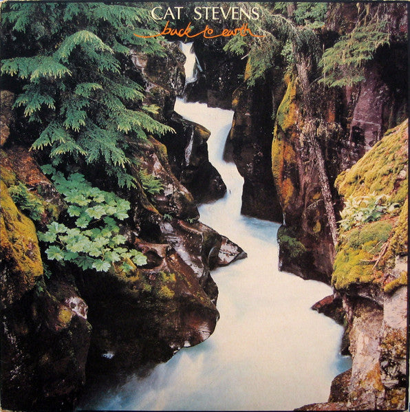 Cat Stevens       Back to Earth