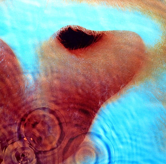 Pink Floyd - Meddle    gatefold